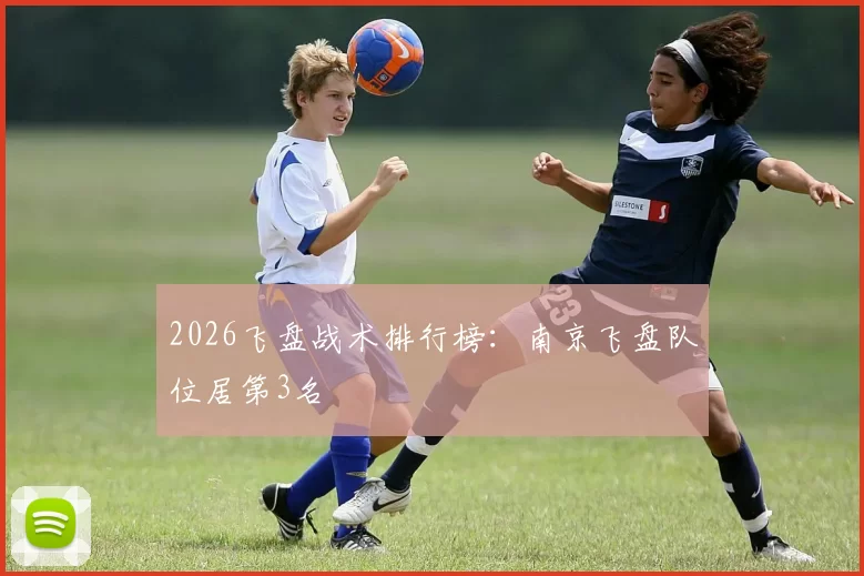 2026飞盘战术排行榜：南京飞盘队位居第3名