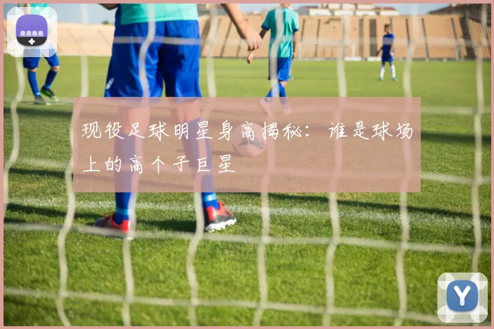 现役足球明星身高揭秘：谁是球场上的高个子巨星